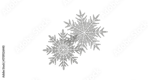 Delicate crystalline snowflakes sparkle against a clean white background, evoking winter magic.