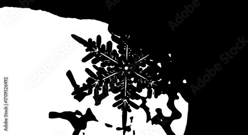 Intricate snowflake design captures winter's delicate beauty, perfect for festive holiday themes.