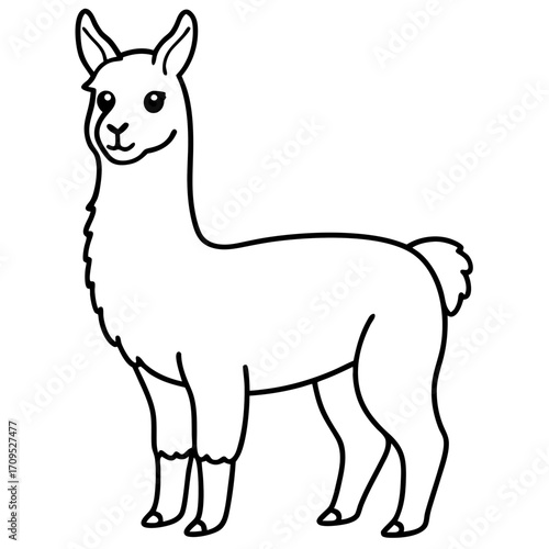 Cute cartoon llama standing profile view silhouette isolated on white background