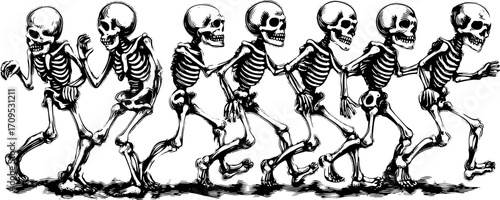 Skeleton art engraving in vintage style. Detailed outline illustration of animated skeletons set for use in vector graphics.