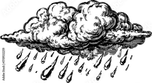 Vintage cloud with raining droplets in black and white. Detailed vector illustration showcases weather elements in a classic style.