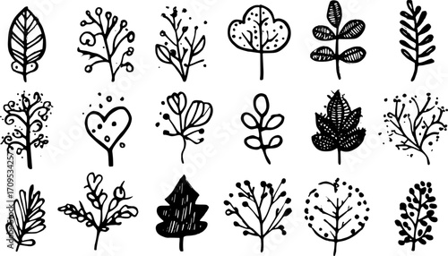 Leaf and tree designs in black and white. Hand-drawn botanical vector illustrations in a minimal set for decorative purposes.