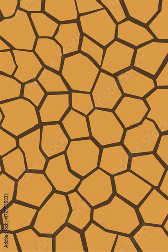 dry cracked desert ground pattern