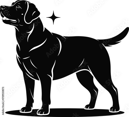 Black and white Labrador Retriever silhouette, standing alert with sparkle, loyal dog breed illustration for pet care, grooming, training, and animal design