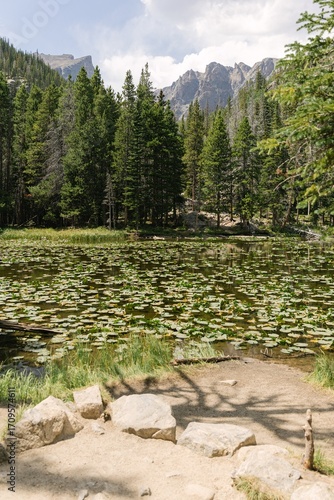 Serene Rocky Mountain Lake with Lily Pads