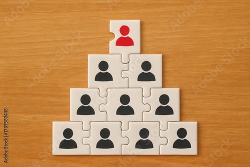 Organizational hierarchy represented by puzzle pieces with a red leader