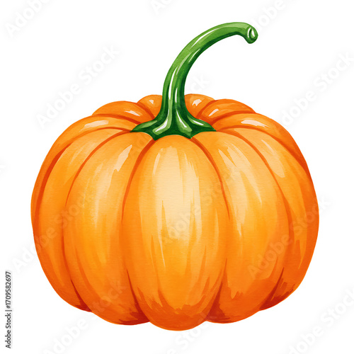 pumpkin isolated on white