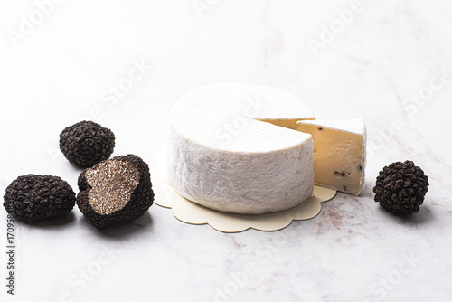 Wallpaper Mural Cheese with truffle. Cheese, Piemonte, Alba, DOС, gourmet autumn Italian cuisine Torontodigital.ca