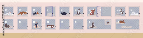 Feline animal shelter with cute cats behind cages, in boxes. Adoption and rescue center, hospital for homeless and missing kitties. Cattery housing, enclosure, temporary stay. Flat vector illustration