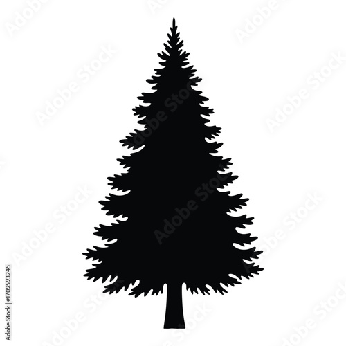 Silhouette of a tall evergreen pine tree detailed needle texture for nature and seasonal designs silhouette