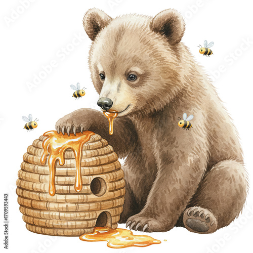 Baby bear with beehive watercolor clipart on transparent background