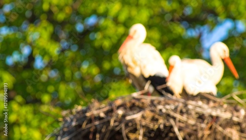 Out-of-focus storks on a nest, lush green background