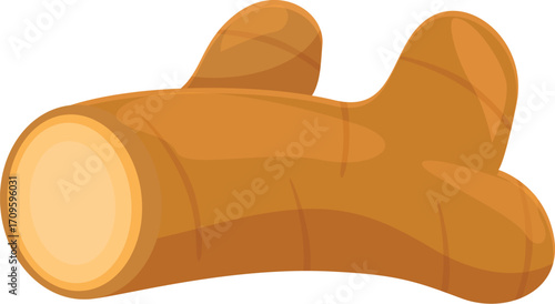 Piece of ginger is depicted, freshly cut and revealing its vibrant orange interior