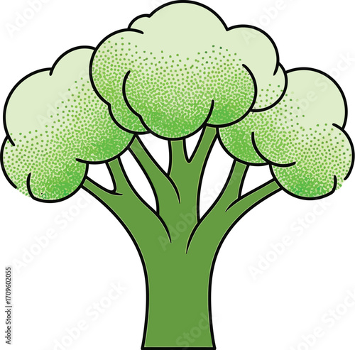Fresh cauliflower vegetable illustration isolated on white background