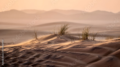 Sand dunes desert bathed in golden light during sunset with gentle breezes creating ripples in the sand and grass