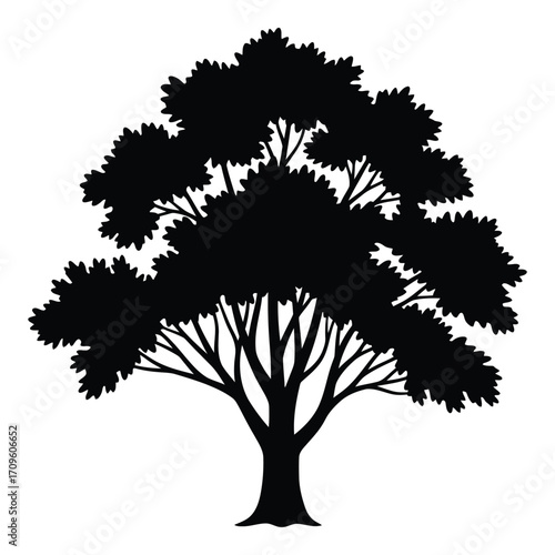 Silhouetted deciduous tree with lush foliage against silhouette