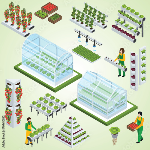 Isometric Detailed Hydroponic Farm with Various Crops Growing Methods Illustration