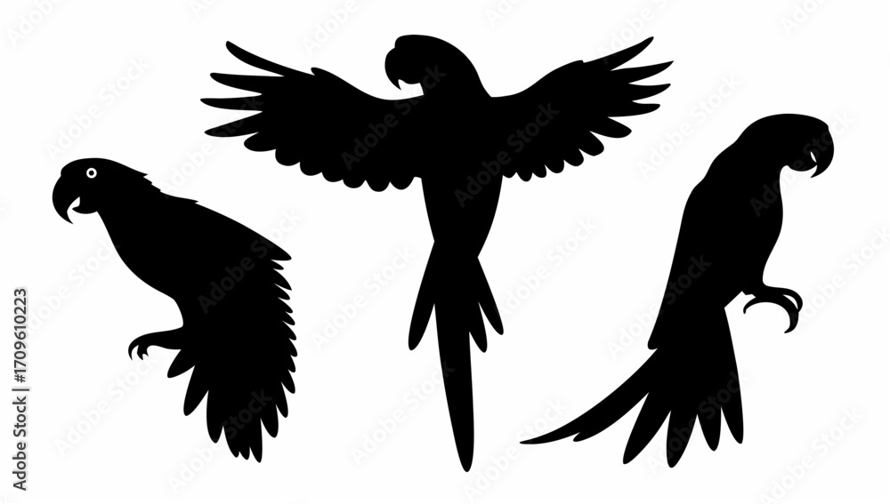 Obraz premium Silhouette illustration of three parrots in different poses against a white background design art vector