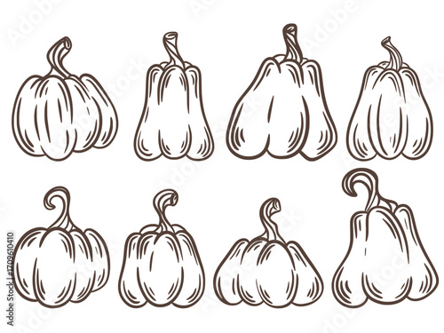 Set of pumpkins of different shapes in silhouette. Hand drawn black sketch of ripe autumn pumpkins. Fall season vegetable harvest, engraved doodle style vector elements