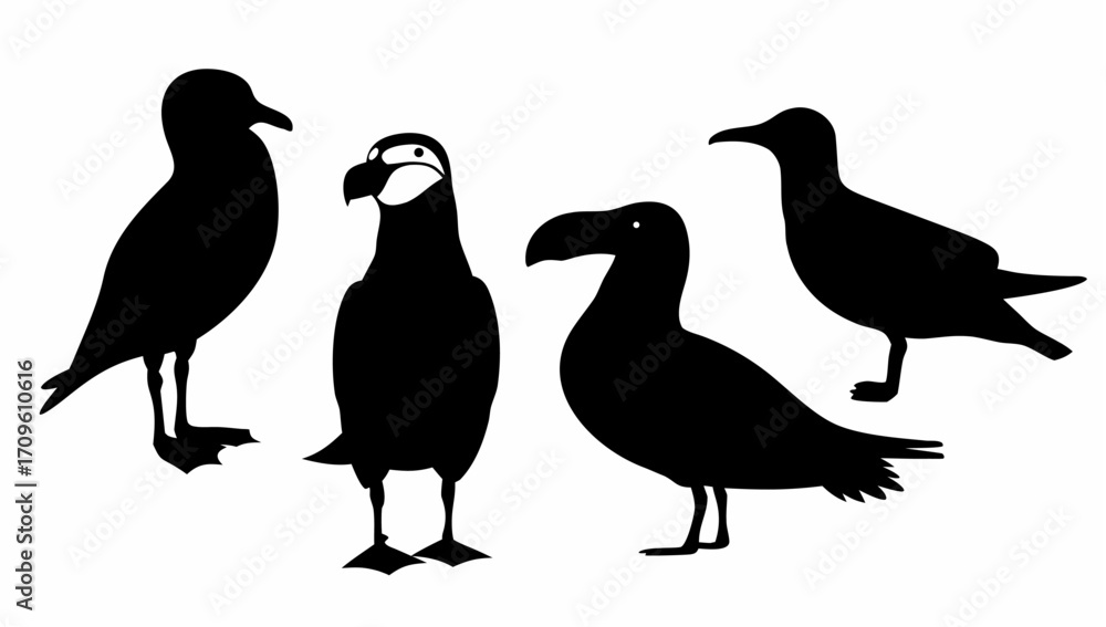 Naklejka premium Silhouette illustration of four birds with distinctive beaks standing in various poses on a white background