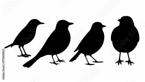 Silhouette depiction showcasing four birds standing side by side in a row on a white isolated background