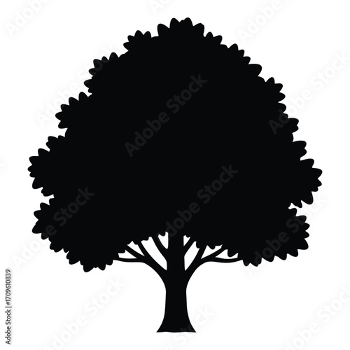Silhouette of a lush green tree with a full canopy and visible branches silhouette