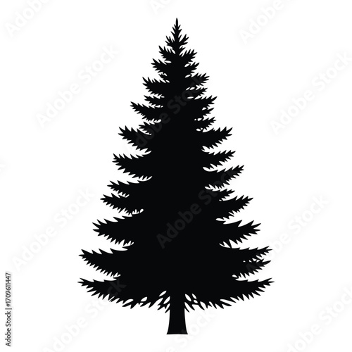 Silhouette of a tall evergreen pine tree ideal for nature graphics and forest scenes silhouette