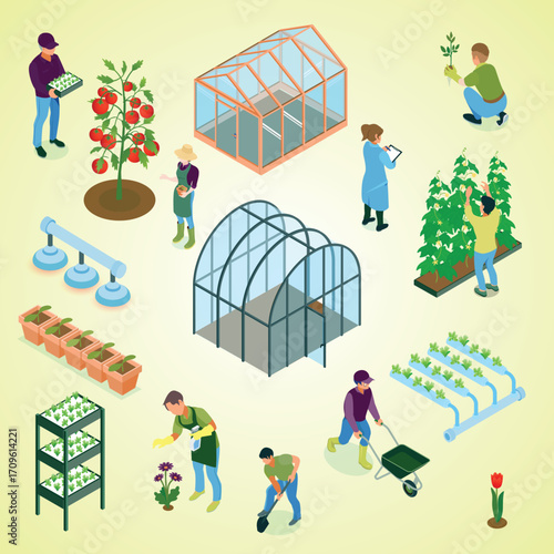 Isometric Detailed Greenhouse Cultivation Illustration with Gardener and Plant Growing Process