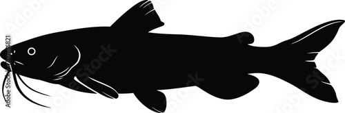 Silhouette of a catfish aquatic animal wildlife illustration graphic vector