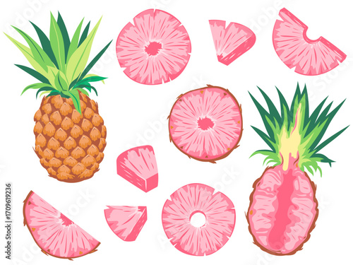 Pink Pineapple Illustration. Pinkglow Pineapple.  Exotic Tropical Fruit