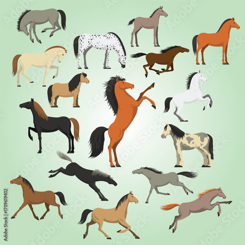 Flat Illustrated Various Breed Horse Animal Equine Set Design