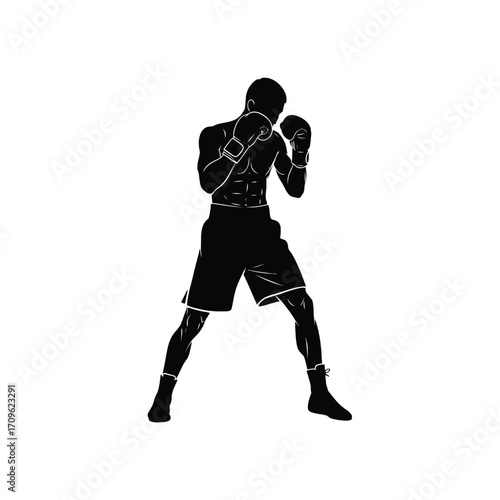Dynamic boxer silhouette in fighting stance ready for combat sports illustration silhouette