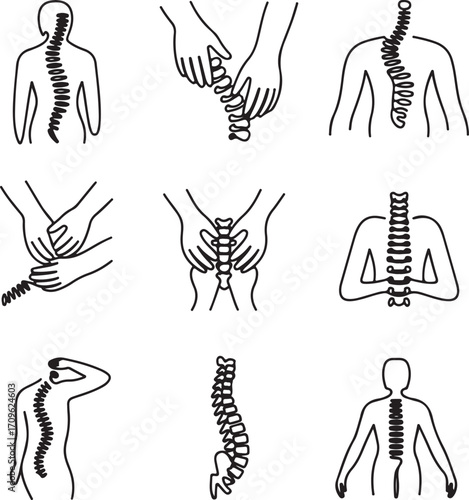 chiropractic, spine, spinal, column, back, pain, therapy, treatment, adjustment, chiropractor, medical, healthcare, health, orthopedic, physiotherapy, massage, posture, anatomy