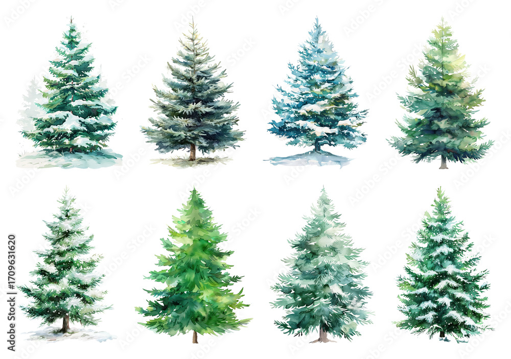 Fototapeta premium Watercolor evergreen trees collection.