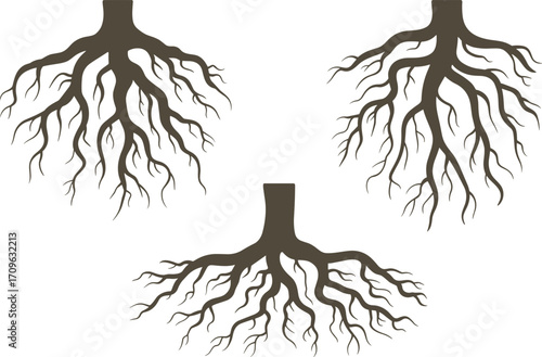 Set of three stylized vector illustrations showcasing different types of tree roots, symbolizing stability, growth, and nature's foundation.