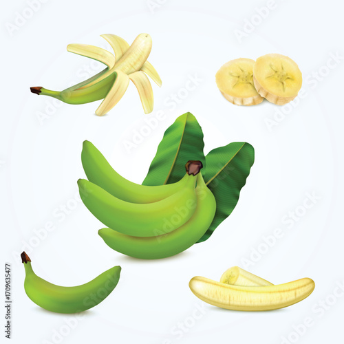 Realistic Green Banana Fruit with Slice and Leaf Tropical Food Still Life