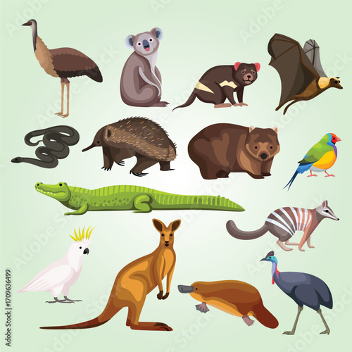 Cartoon Style Collection of Native Australian Wildlife Animal Illustration