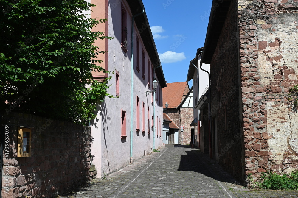 Obraz premium Altstadt in Ladenburg