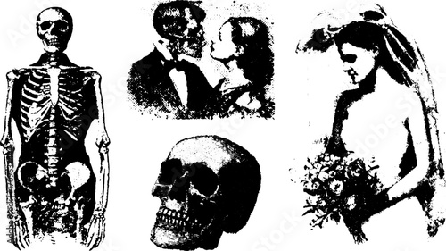 Vintage skeleton and skull illustrations. Monochrome line drawing set featuring a couple, bride, and bouquet in a vector format.