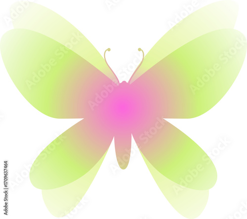 Gradient Butterfly