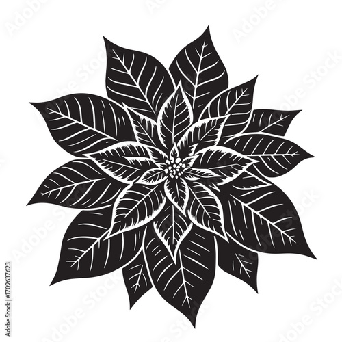 Black Poinsettia Flower Silhouette Vector Illustration design, Solid White Background
