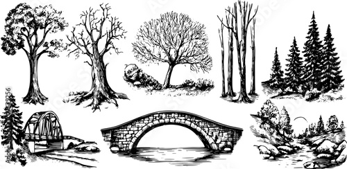 Illustration of various trees and a bridge over water. Black and white vector set depicting a natural landscape and outdoor scenery.