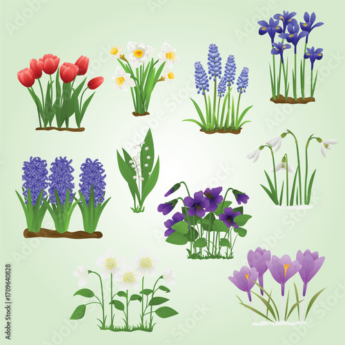 Detailed Flat Spring Flowers Collection Illustration on Light Green Background