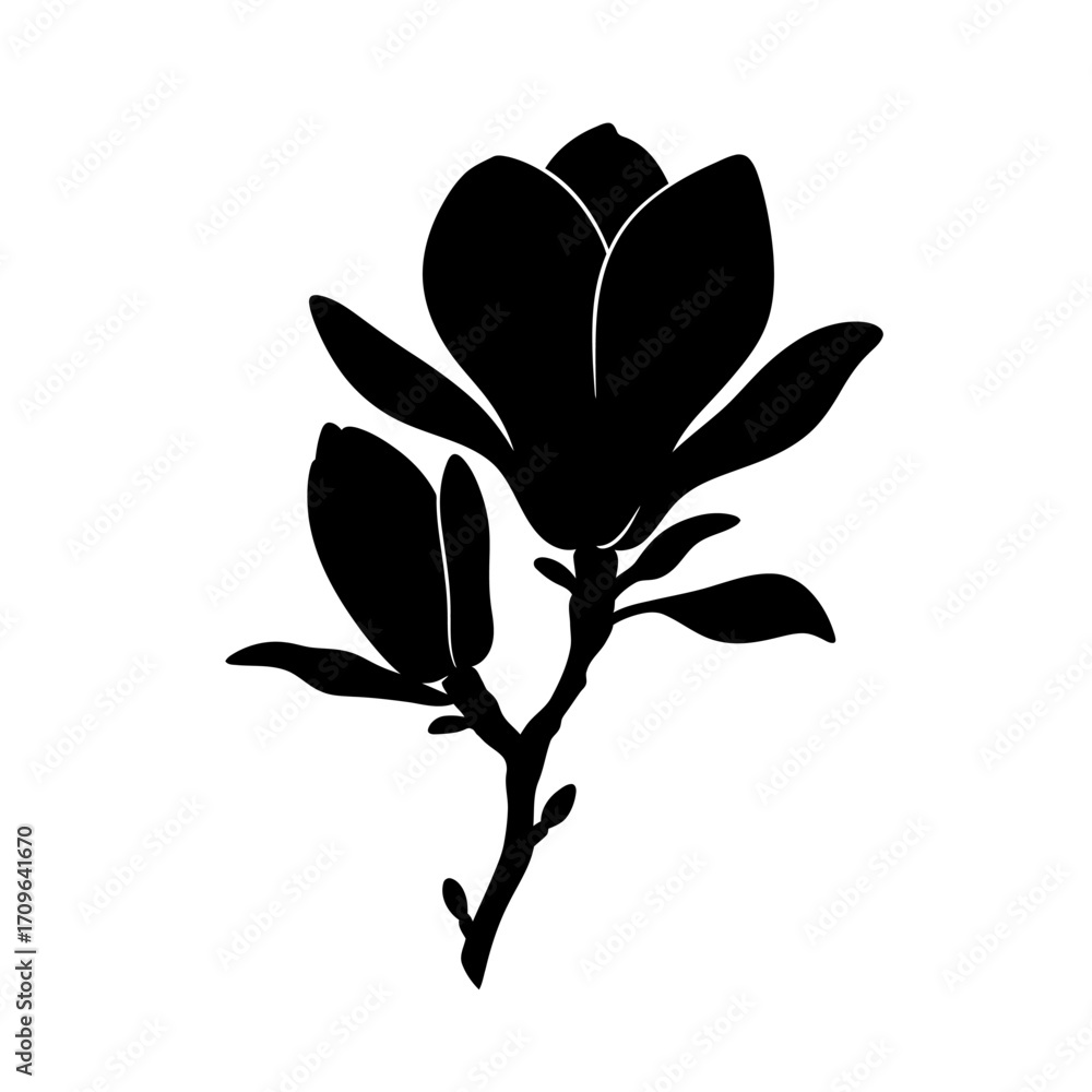 Obraz premium Elegant black silhouette of a magnolia flower branch with blossoms and leaves