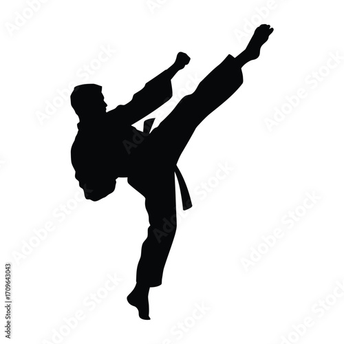 Silhouette of a martial artist performing a dynamic high kick in a karate uniform