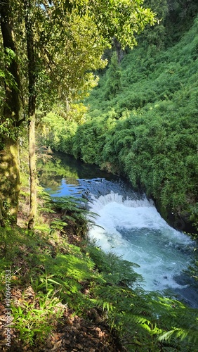 Majestic waterfall in Parque Futangue, Chile, cascading through lush forest, surrounded by vibrant greenery and pristine natural landscapes.