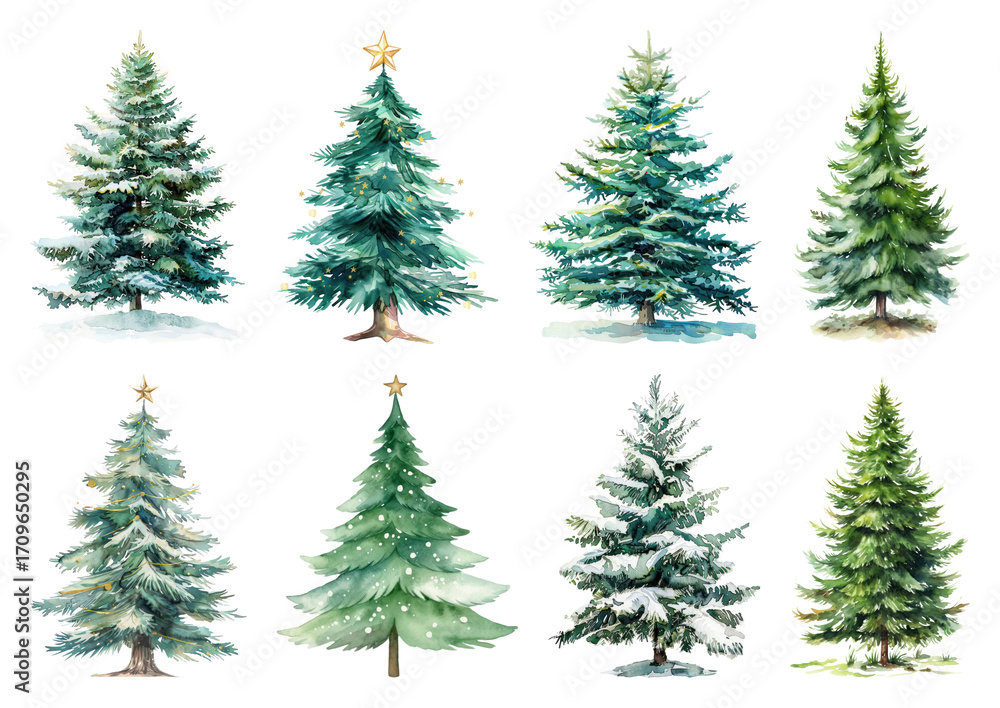 Fototapeta premium Watercolor Christmas trees illustration.