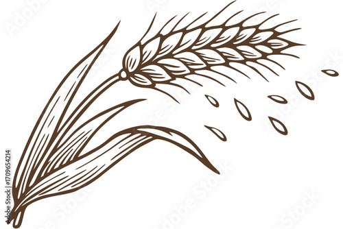 Grain doodle icon: single ear of corn hand-drawn.
