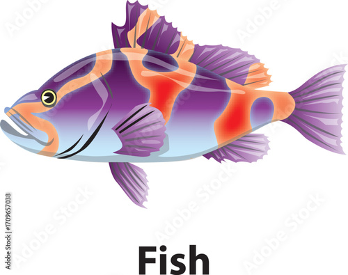 Stylized fish illustration isolated on white background