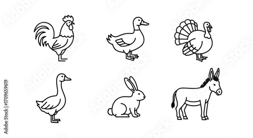 Line art illustrations of farm animals, including rooster, duck, turkey, goose, rabbit, and donkey.
